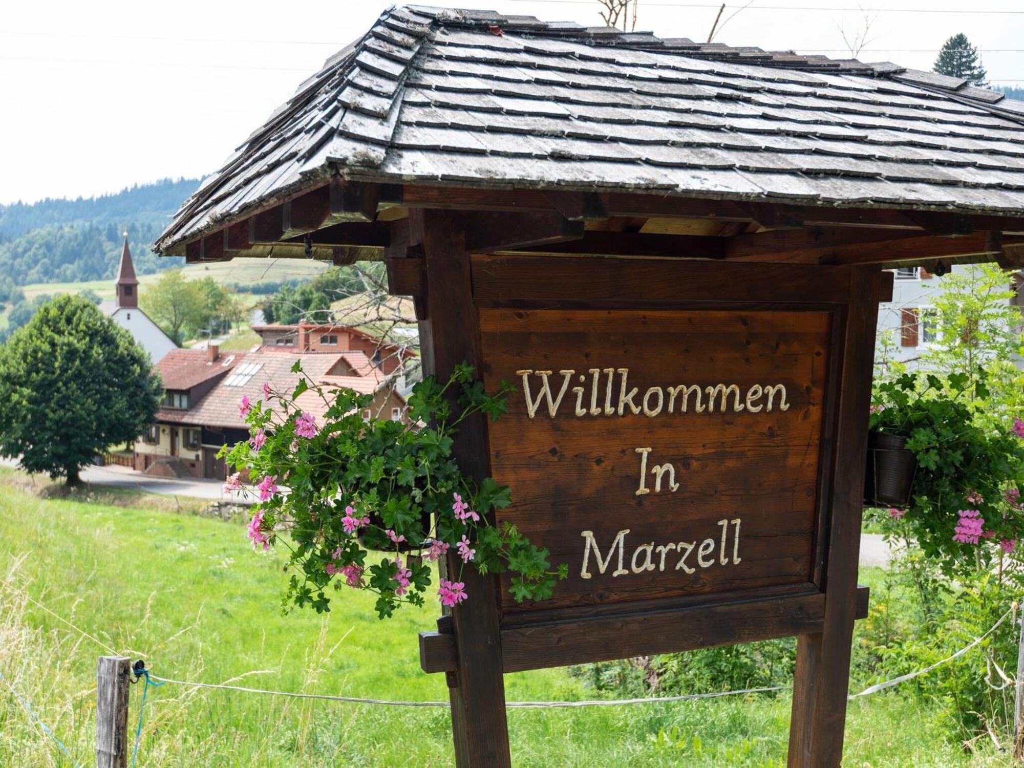 Apartment In Malsburg Marzell With Private Garden Bagian luar foto